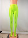 Women Glossy Basic Legging Pant