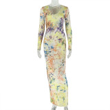 Women Printed Round Neck Long Sleeve Bodycon Dress