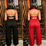 Women Fashion Trendy Loose Straight Wide-Leg Pants Set
