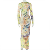 Women Printed Round Neck Long Sleeve Bodycon Dress