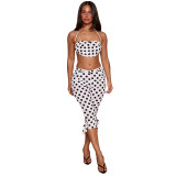 Summer Women Polka Dot Print Sleeveless Halter Neck Lace-Up Top & Capri Pants Set