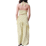 Women Polka Dot Printed Halter Neck Backless Strapless Top and Fringed Pants Two-Piece Set