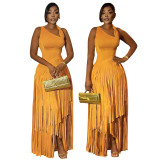 Women Fringed Elegant Dress