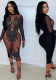 Women Sexy See-Through Sequin Round Neck Casual Dress