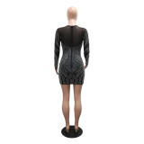 Women Round Neck Long Sleeve Beaded Dress