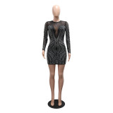Women Round Neck Long Sleeve Beaded Dress