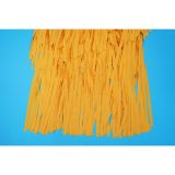 Women Fringed Elegant Dress