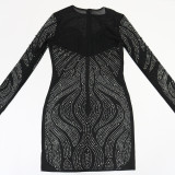 Women Round Neck Long Sleeve Beaded Dress