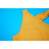 Women Fringed Elegant Dress
