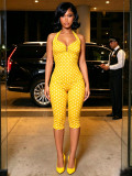Women Elastic Polka Dot Printed Halter Neck Deep V Slim Fitting Pants Set