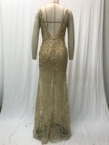 Women Spring Summer Sleeveless V Neck Shiny See-Through Maxi Dress