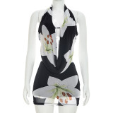 Women Floral Print Halter Neck Backless Tie Top Mesh Skirt Two Piece