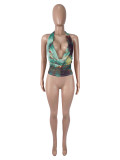 Women Sexy Halter Neck Cowl Neck Tie Mesh Top