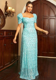 Women Black Sequins Dress