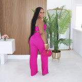 Women's Solid Camisole Top & Pants Two-Piece Set
