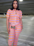 Women's Sexy Striped Turndown Collar Button-Up Short Sleeve Top & Straight-Leg Pants Set