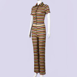 Women's Sexy Striped Turndown Collar Button-Up Short Sleeve Top & Straight-Leg Pants Set