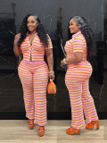 Women's Sexy Striped Turndown Collar Button-Up Short Sleeve Top & Straight-Leg Pants Set