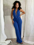 Women Sexy Mesh Halter Neck Cowl Neck Low Back Solid Two-Piece Pants Set
