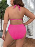Plus Size Women Halter Low Back Solid High-Waist Bikini Two-Piece Set