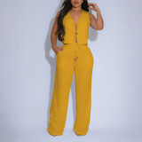 Women Solid Sleeveless V-Neck Tie Front Top with Drawstring Wide-Leg Two-Piece Pants Set