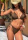 Women Sexy Two-Piece Swimsuit