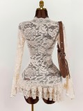 Spring Lace Hollow Bodycon Mini Dress