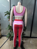 Spring Fashion Street Women Color-Block Patchwork Long Sleeve Zip-Up Casual Three-Piece Pants Set