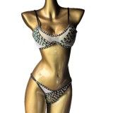Diamond Bikini Trendy Two Piece Swimsuit