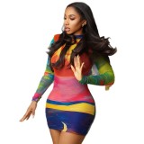 Printed Casual Slim-Fit Women Round Neck Long Sleeve Multi-Color Bodycon Dress