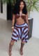 Summer Chic Sexy Halter Neck Strapless Crop Top Skirt Set