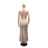 Women's V-Neck Sleeveless Lace-Up Sexy Bodycon Party Evening Dress