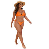 Plus Size Women's Printed Halter Neck Mesh Three-Piece Bikini Swimsuit