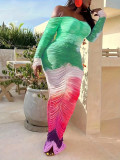Women's Mesh Print Dress