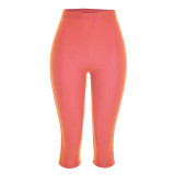 Women Fitted Cowl Neck Halter Neck Low Back Top Tight Fitting Capri Pants Two-Tone Set
