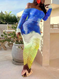 Women's Mesh Print Dress