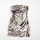 Women Sexy See-Through Mesh Cover Up Printed Dress Set