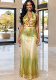 Women Summer Casual Print V-Neck Backless Dress