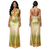 Women Summer Casual Print V-Neck Backless Dress