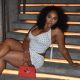 Women Polka Dot Print Halter Neck Tank Top Slit Skirt Two-Piece Set