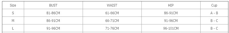 Solid Low Waist Two-Piece Bikini Swimsuit