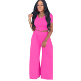 Women Crop Top and Wide-Leg Pants Two-Piece Set