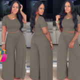 Women Crop Top and Wide-Leg Pants Two-Piece Set