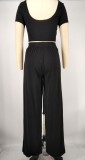 Women Crop Top and Wide-Leg Pants Two-Piece Set