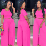 Women Crop Top and Wide-Leg Pants Two-Piece Set