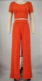 Women Crop Top and Wide-Leg Pants Two-Piece Set