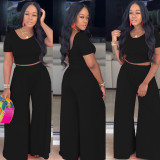 Women Crop Top and Wide-Leg Pants Two-Piece Set