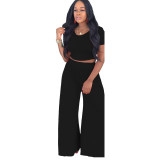 Women Crop Top and Wide-Leg Pants Two-Piece Set
