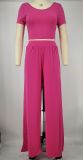 Women Crop Top and Wide-Leg Pants Two-Piece Set
