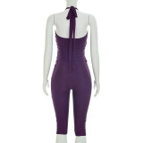 Women Spring/Summer Halter Neck Lace-up Backless Top and Solid Gathered 3/4 Length Pant Two-piece Set